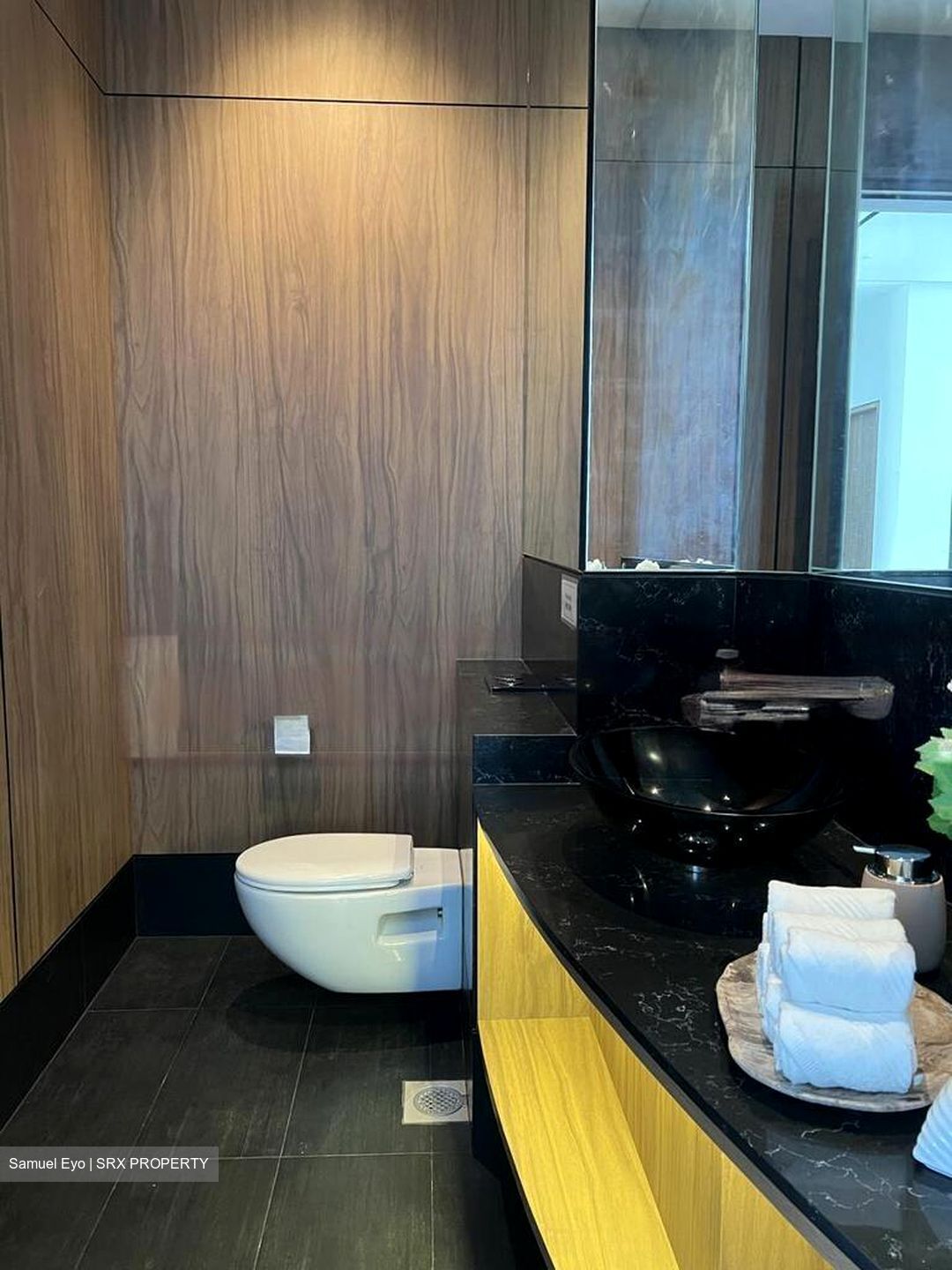 Lumiere (D2), Apartment #426117751